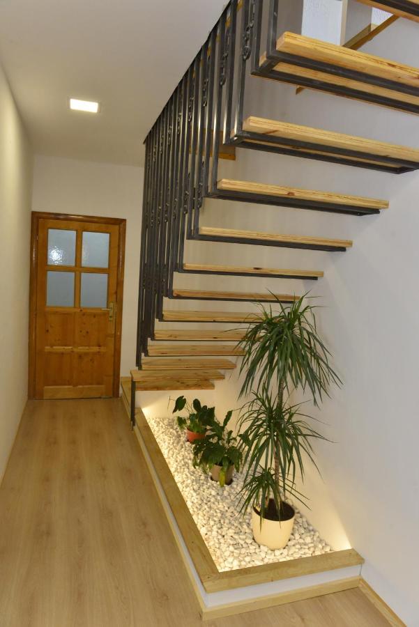 Milosavljevic Apartments Teodo Esterno foto